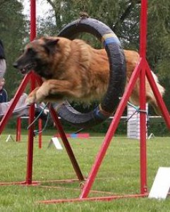 Princezna na závodech v Rýzmburku