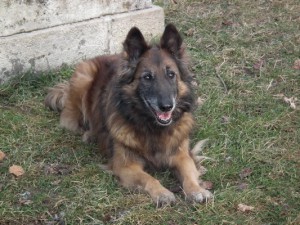 Belinda na výletě na Chlumu